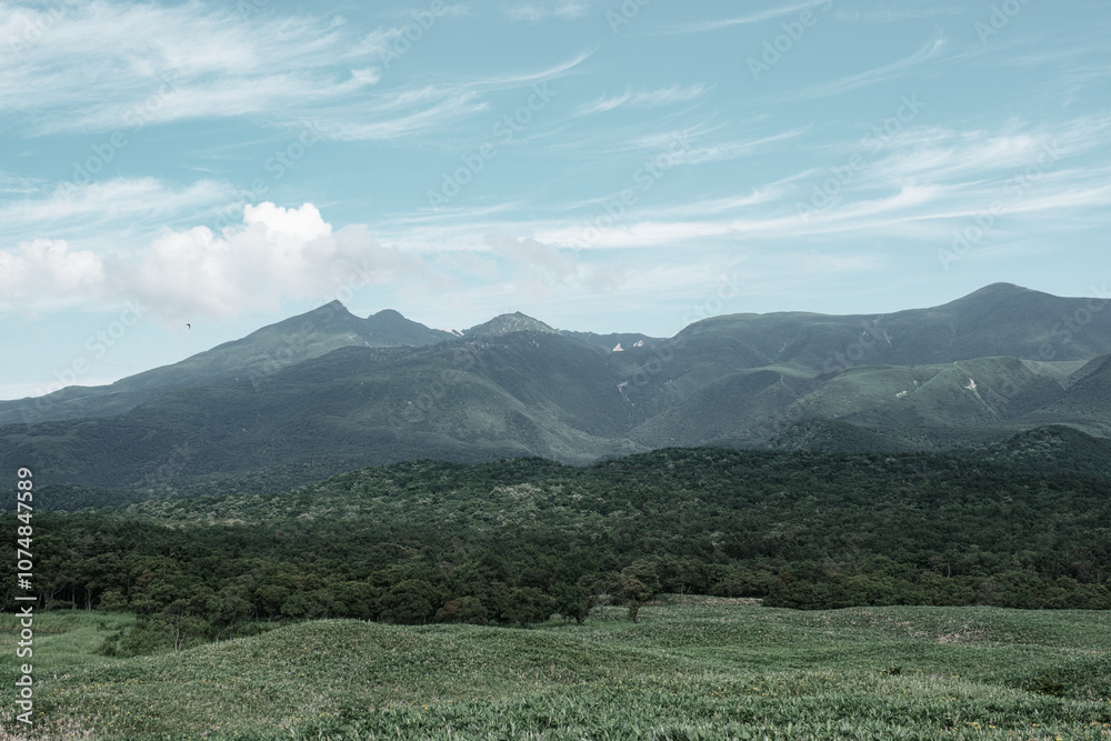 Fototapeta premium 日本の自然