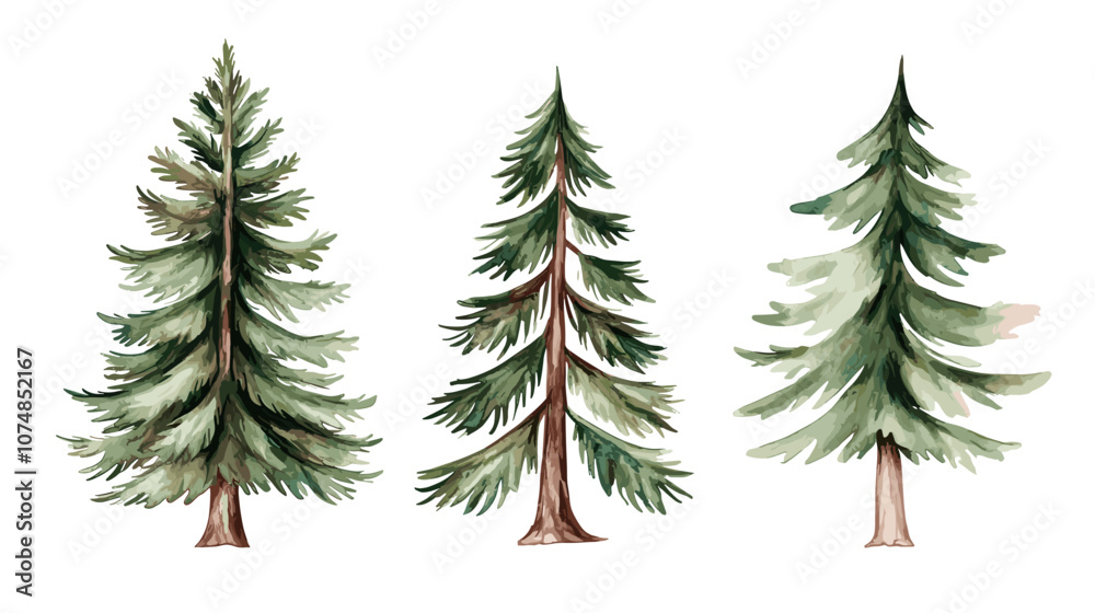 Pine tree watercolor Minimal style Side view set of graphics trees elements outline symbol for architecture and landscape design. Vector illustration transparent background Pine tree watercolor Minimal style Side view set of graphics trees elements outline symbol for architecture and landscape design. Vector illustration transparent background