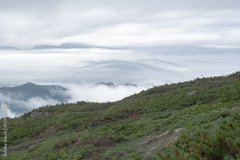 Naklejka premium 日本の自然