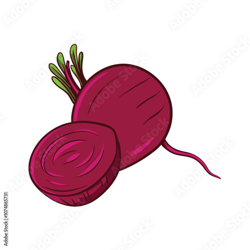 Vector Cartoon Red Beetroot Illustration