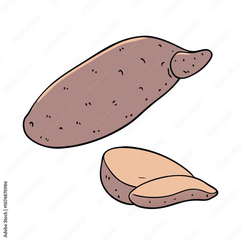 Vector Cartoon Sweet Potato Yam illustration Vector Cartoon Sweet Potato Yam illustration