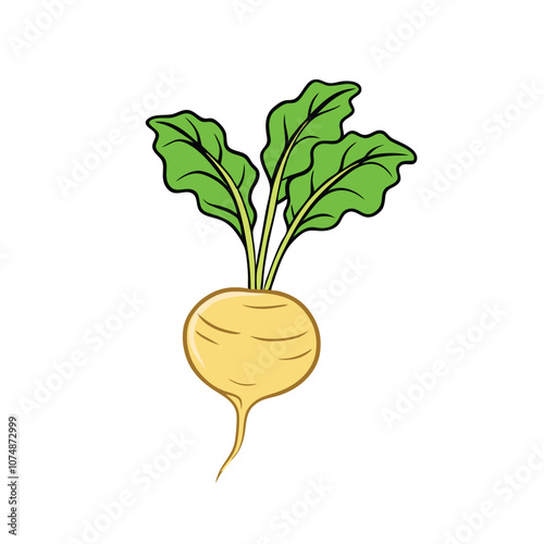 Vector Cartoon Turnip with Green Leaves on a isolated white background