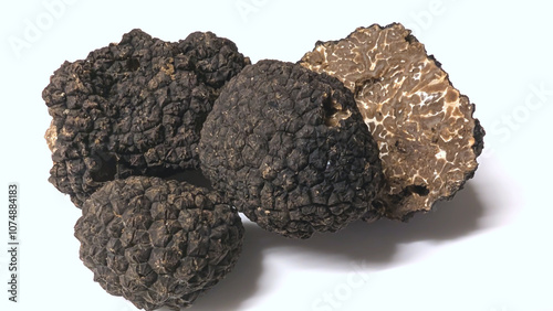 Fresh black truffles. The most expensive mushroom, close up , white background