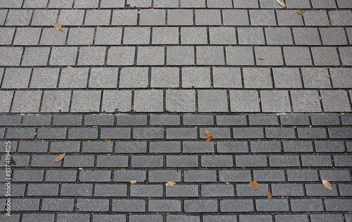 Wallpaper Mural Texture of square paving tile. Pattern of gray tiles in the street. Concrete pavers with autumnal leaves close up background. Torontodigital.ca