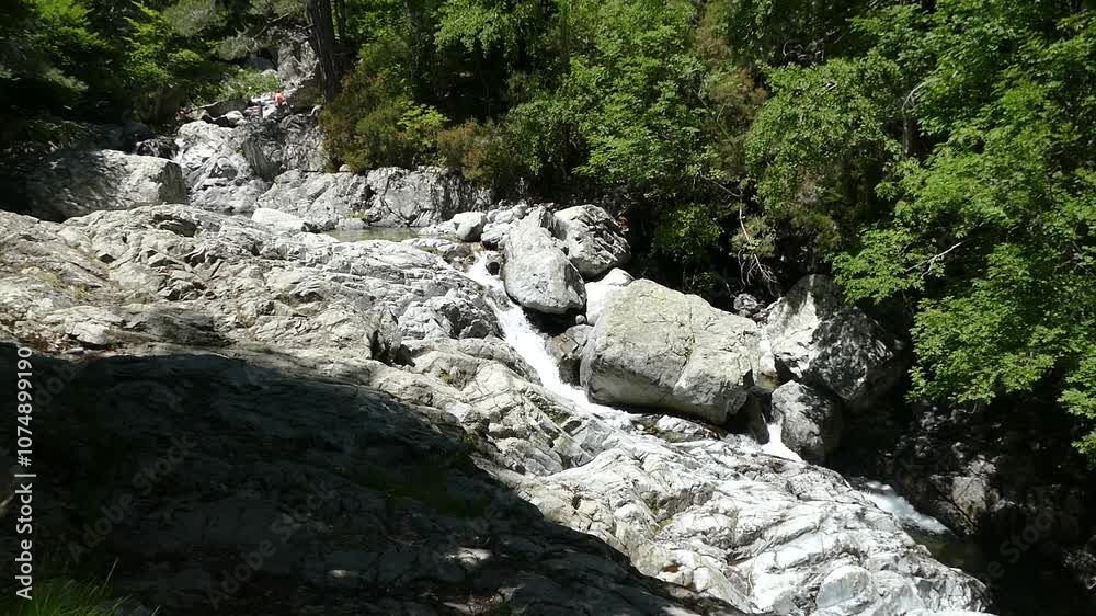 pure water river creek in nature pure water river creek in nature