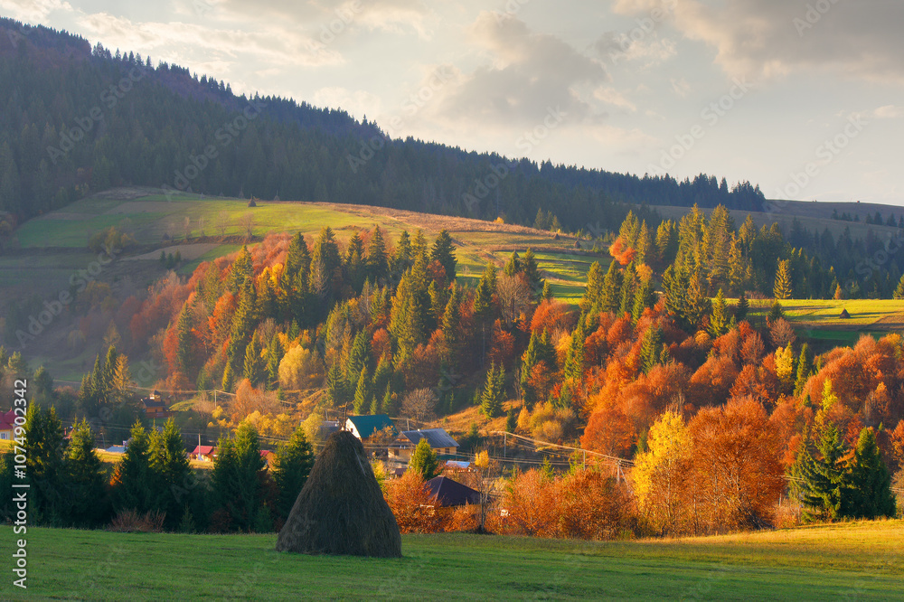 mountainous rural landscape in autumn. sunny afternoon. haystack on the grassy hill. beautiful countryside scenery of ukraine
