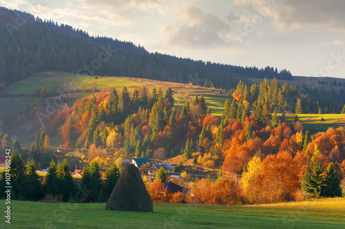 Obraz na płótnie mountainous rural landscape in autumn. sunny afternoon. haystack on the grassy hill. beautiful countryside scenery of ukraine w salonie