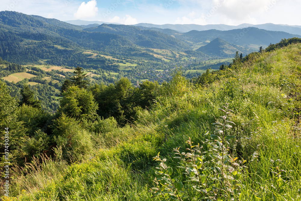 carpathian mountain landscape in summer. countryside scenery in afternoon light. forested slopes. village in the distant valley