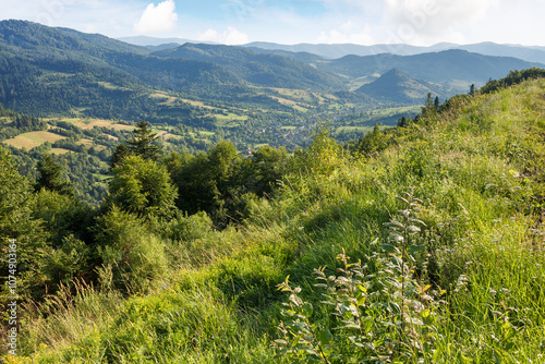 Obraz na płótnie carpathian mountain landscape in summer. countryside scenery in afternoon light. forested slopes. village in the distant valley w salonie