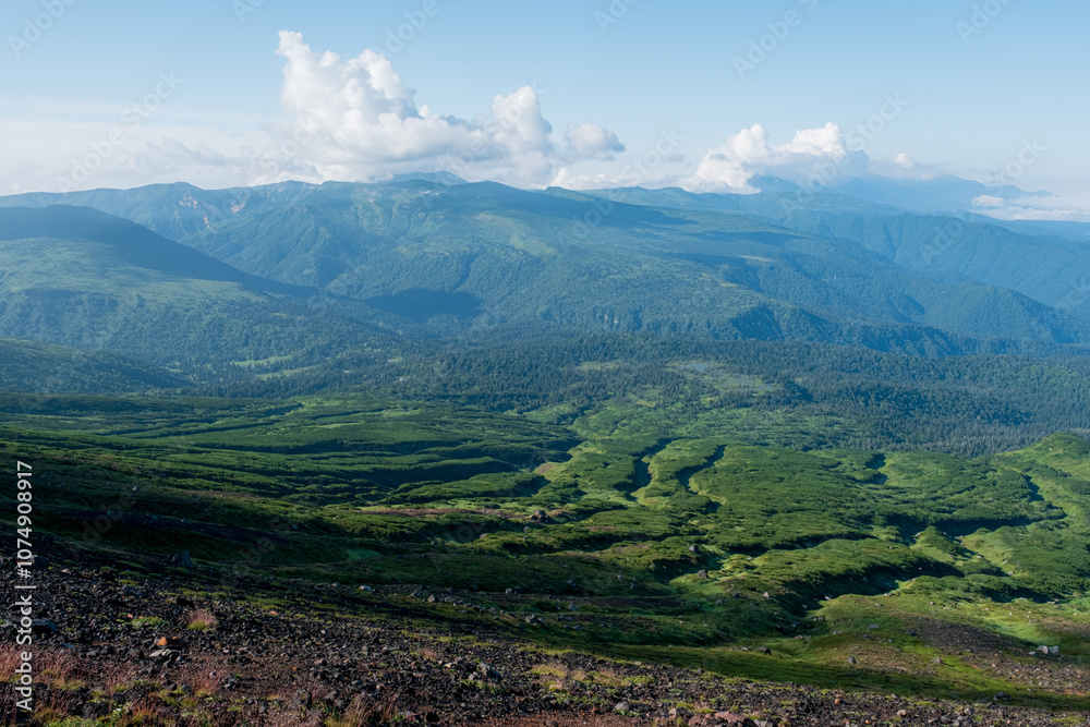 Obraz premium 夏山の風景