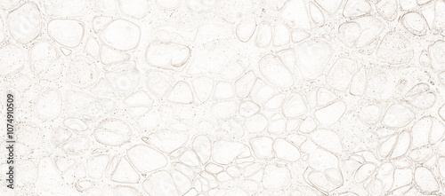 Konstfotografi An intricate white abstract pattern resembling organic stone-like shapes and cracks, forming a vintage, delicate, and natural texture