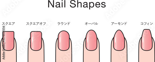 色々な爪の形の種類セット