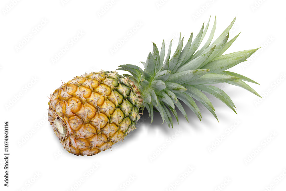 pineapple fruit isolated on white background. This has clipping path.
pineapple fruit isolated on white background. This has clipping path.