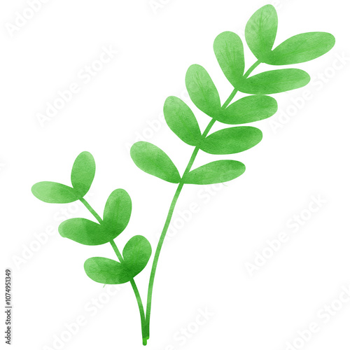 green leaf isolated on white background