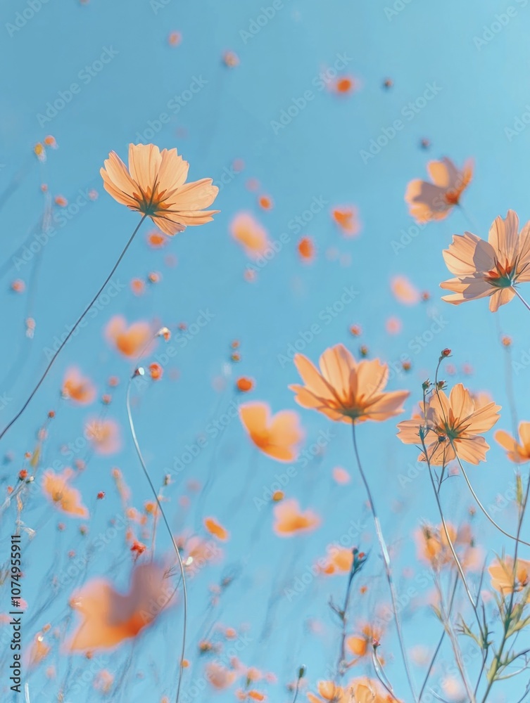 Wildflower field against blue sky, dandelion seed heads floating in air Wildflower field against blue sky, dandelion seed heads floating in air