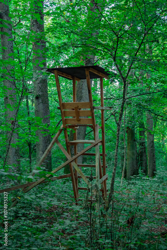 A wooden hunting stand in a dense green forest surrounded by tall trees and lush foliage. The elevated structure has a simple ladder and a roof, blending naturally into the tranquil woodland environme