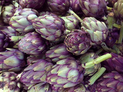 Close up of purple and green globe artichokes photo