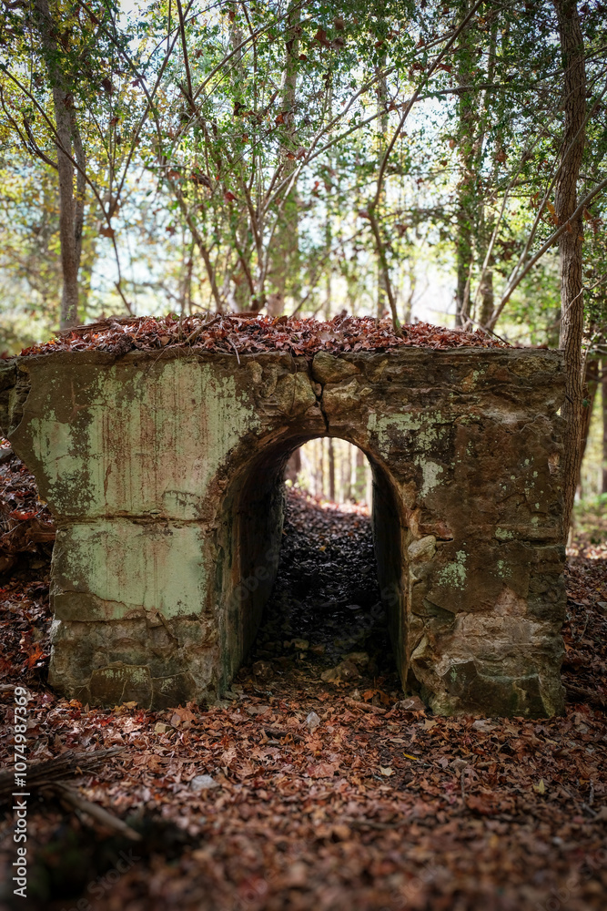 Ruins of cement structure from a nitrogen production facility built in South Carolina during the early twentieth century Ruins of cement structure from a nitrogen production facility built in South Carolina during the early twentieth century