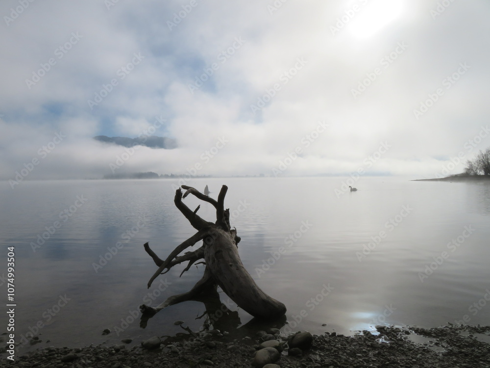 Der Forggensee im Allgäu