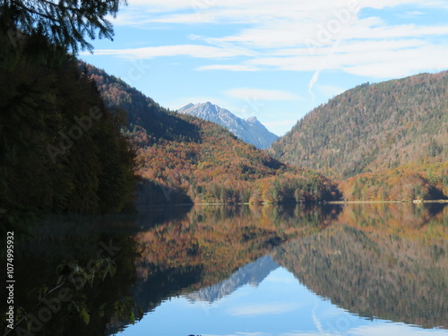 Alpsee Hohenschwangau photo