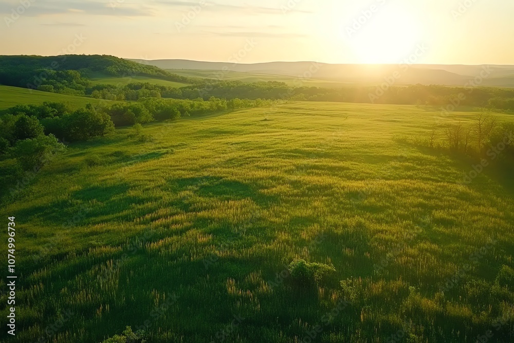 Drone shot of a vast, open grassland at sunrise.