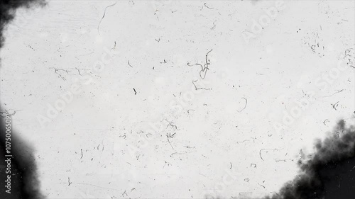 Damage to an old celluloid film strip