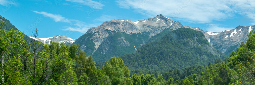 Panoramic forest landscape, los alerces national park, chubut province, argentina Panoramic forest landscape, los alerces national park, chubut province, argentina