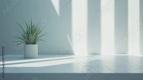 Minimalist White Tabletop with Green Plant and Sunbeams