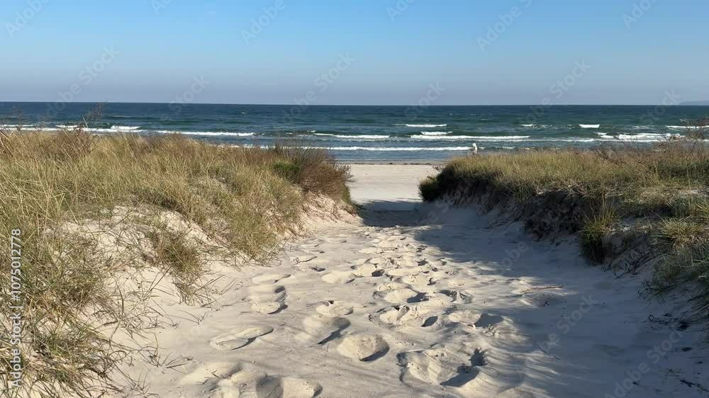 View of the dunes over a beach path to the sea on the Baltic Sea on Rügen 4k video