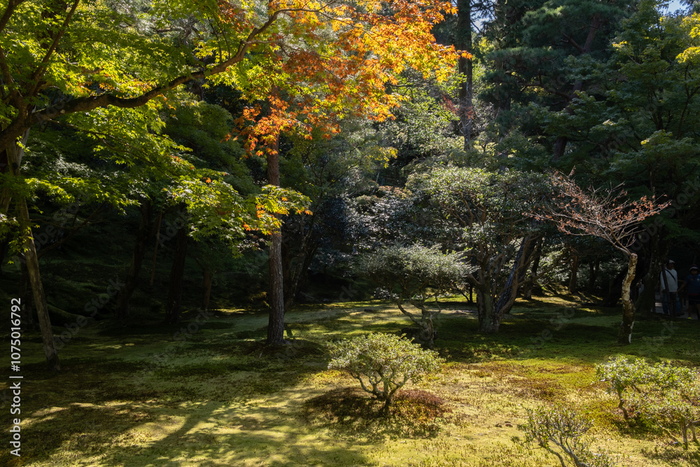 Japanese garden in Ginkakuji Temple, Kyoto, Japan