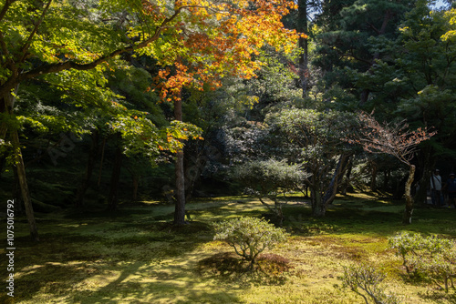 Obraz na płótnie Japanese garden in Ginkakuji Temple, Kyoto, Japan w salonie