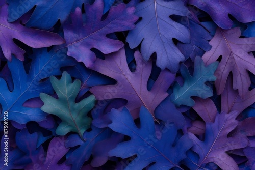 In the middle of a field of grass, in a park, is a natural image czerwony tee with a weaving of green and red leaves. On the left is an unforeseen shadow of three green leaves. On the right is a photo