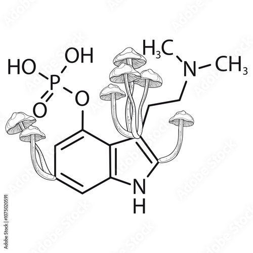 Psilocybin chemical skeletal formula with Psilocybe mushrooms in black isolated on white background. 
