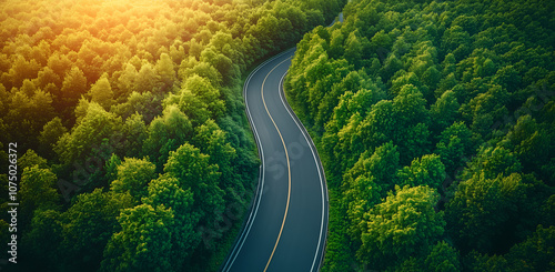 Aerial view of a highway road through a green forest in summer, captured by a drone. A bird's-eye view of the asphalt route and trees on both sides. 