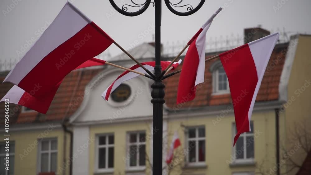 Polish flags in the city. Poland Polish flags in the city. Poland