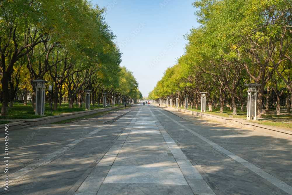 The tree lined avenue at the city gates of Beijing, China The tree lined avenue at the city gates of Beijing, China