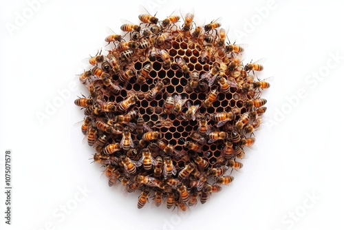 Close-up of a hive with numerous bees actively tending to their honeycomb cells.