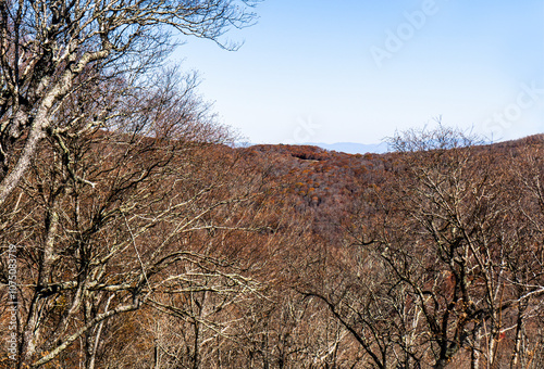 In late October, the fall colors on the mountains are fading, and many trees are bare, as seen from the North Carolina side of the Cherohala Skyway. Horizontal. photo