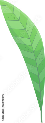 Tropical leaf with bold chevron pattern, in vibrant green and isolated on transparent background, perfect for nature-inspired designs and projects