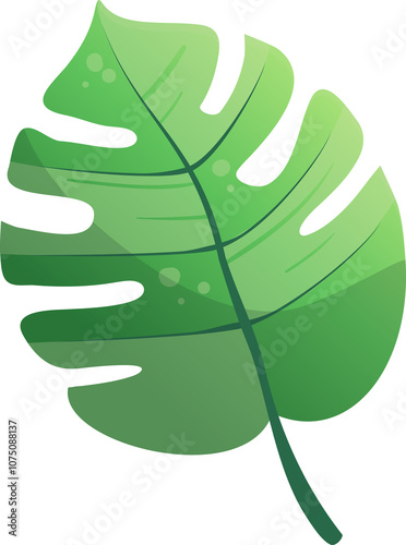 Vibrant green monstera deliciosa leaf with water droplets isolated on transparent background, ideal for a variety of design projects