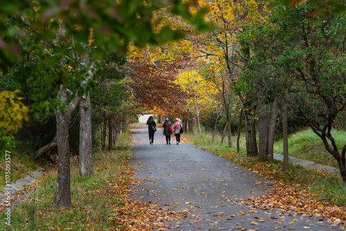 Autumn Colorful in the Ataturk Arboretum Photo, Sariyer Istanbul, Turkiye (Turkey) photo