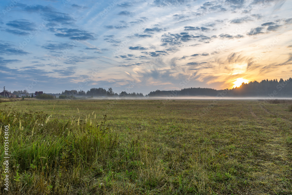 Obraz premium Field of grass with a cloudy sky in the background