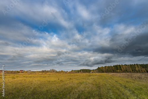 A field of grass with a cloudy sky in the background