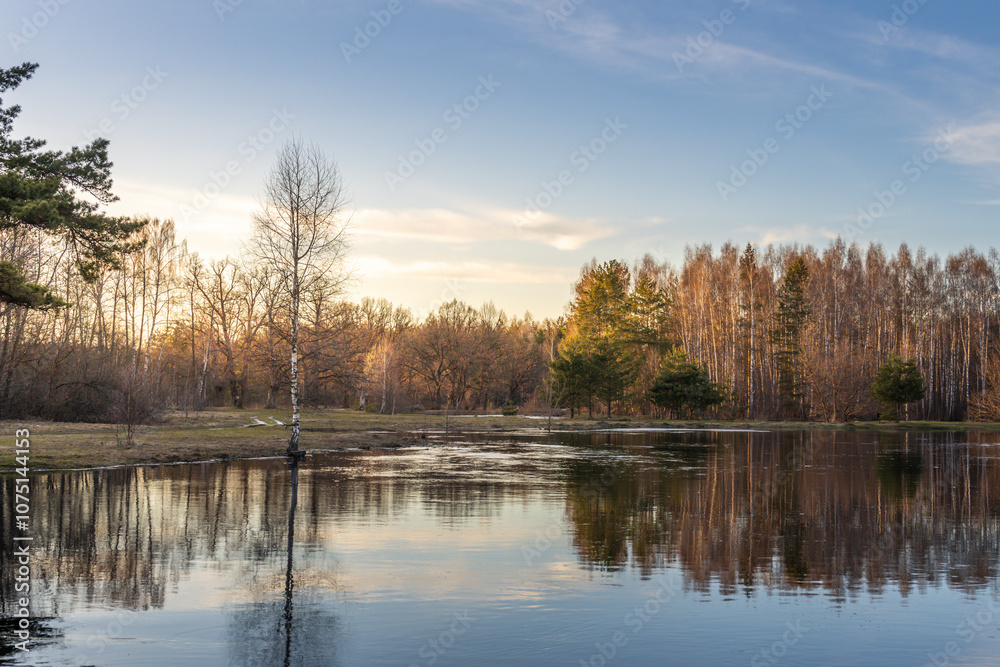 Calm lake with a tree in the foreground Calm lake with a tree in the foreground