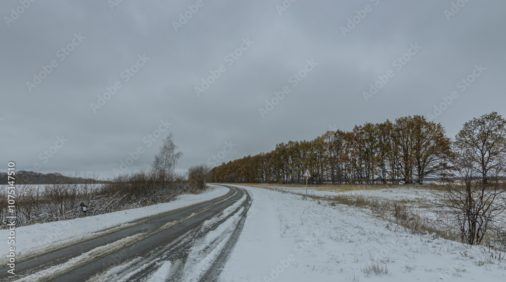 A snowy road with trees in the background A snowy road with trees in the background