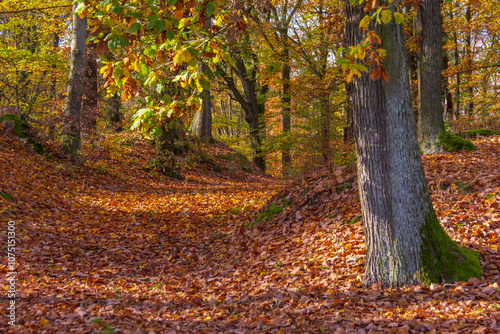 Herbst