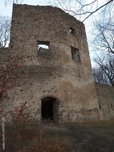 Ruiny zamku sredniowiecznego Bolczów, góry Sudety, Polska