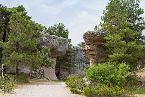Natural park 
