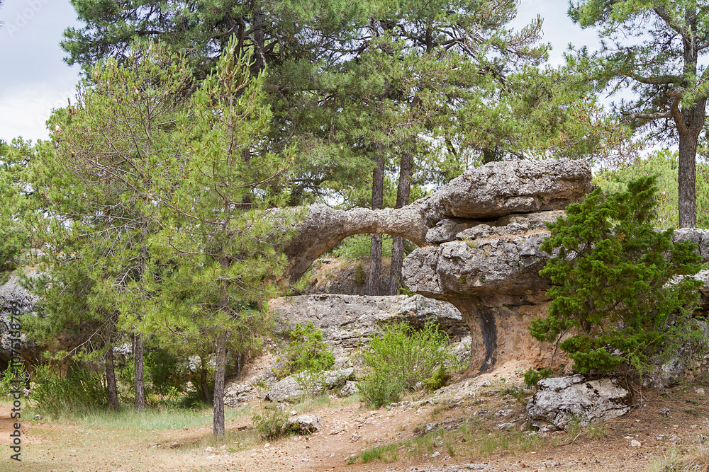 Natural park Natural park