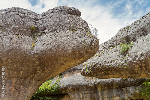 Natural park 